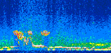 /calipso-imagery/data/BROWSE/production/V5-00/2009-09-28/2009-09-28_14-24-01_V5.00_2_thmb.png image missing