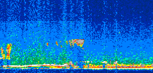 /calipso-imagery/data/BROWSE/production/V5-00/2009-09-28/2009-09-28_22-38-22_V5.00_2_thmb.png image missing