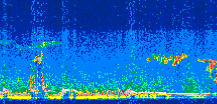 /calipso-imagery/data/BROWSE/production/V5-00/2009-09-28/2009-09-28_22-38-22_V5.00_3_thmb.png image missing