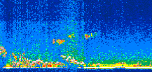/calipso-imagery/data/BROWSE/production/V5-00/2009-09-30/2009-09-30_15-50-12_V5.00_2_thmb.png image missing