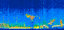 /calipso-imagery/data/BROWSE/production/V5-00/2009-09-30/2009-09-30_17-29-07_V5.00_3_thmb.png image missing