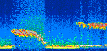 /calipso-imagery/data/BROWSE/production/V5-00/2009-09-30/2009-09-30_20-46-53_V5.00_2_thmb.png image missing