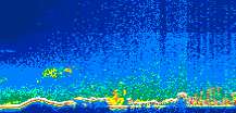 /calipso-imagery/data/BROWSE/production/V5-00/2009-10-09/2009-10-09_02-31-49_V5.00_1_thmb.png image missing