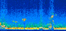 /calipso-imagery/data/BROWSE/production/V5-00/2009-10-09/2009-10-09_23-57-12_V5.00_2_thmb.png image missing