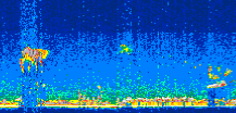 /calipso-imagery/data/BROWSE/production/V5-00/2009-10-09/2009-10-09_23-57-12_V5.00_3_thmb.png image missing