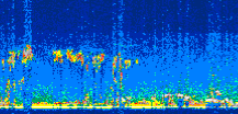 /calipso-imagery/data/BROWSE/production/V5-00/2009-11-15/2009-11-15_01-06-56_V5.00_3_thmb.png image missing