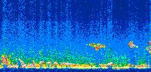 /calipso-imagery/data/BROWSE/production/V5-00/2009-11-15/2009-11-15_07-42-27_V5.00_2_thmb.png image missing