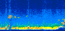 /calipso-imagery/data/BROWSE/production/V5-00/2009-11-15/2009-11-15_09-21-22_V5.00_3_thmb.png image missing