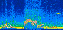 /calipso-imagery/data/BROWSE/production/V5-00/2009-11-15/2009-11-15_15-56-53_V5.00_2_thmb.png image missing
