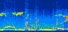 /calipso-imagery/data/BROWSE/production/V5-00/2009-11-15/2009-11-15_15-56-53_V5.00_3_thmb.png image missing