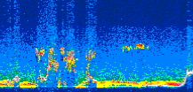 /calipso-imagery/data/BROWSE/production/V5-00/2009-11-26/2009-11-26_07-23-16_V5.00_3_thmb.png image missing
