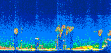/calipso-imagery/data/BROWSE/production/V5-00/2009-11-26/2009-11-26_09-02-11_V5.00_3_thmb.png image missing