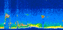 /calipso-imagery/data/BROWSE/production/V5-00/2009-11-26/2009-11-26_10-41-01_V5.00_3_thmb.png image missing