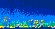 /calipso-imagery/data/BROWSE/production/V5-00/2009-11-26/2009-11-26_12-19-56_V5.00_4_thmb.png image missing