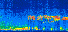 /calipso-imagery/data/BROWSE/production/V5-00/2009-11-26/2009-11-26_13-58-46_V5.00_3_thmb.png image missing