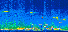 /calipso-imagery/data/BROWSE/production/V5-00/2009-11-26/2009-11-26_18-55-27_V5.00_3_thmb.png image missing