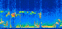 /calipso-imagery/data/BROWSE/production/V5-00/2009-12-15/2009-12-15_04-35-49_V5.00_3_thmb.png image missing