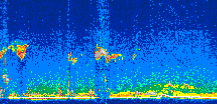 /calipso-imagery/data/BROWSE/production/V5-00/2009-12-15/2009-12-15_09-32-24_V5.00_3_thmb.png image missing