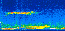 /calipso-imagery/data/BROWSE/production/V5-00/2009-12-15/2009-12-15_12-50-15_V5.00_3_thmb.png image missing