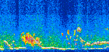 /calipso-imagery/data/BROWSE/production/V5-00/2009-12-15/2009-12-15_17-46-50_V5.00_2_thmb.png image missing