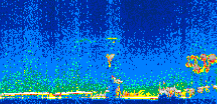 /calipso-imagery/data/BROWSE/production/V5-00/2009-12-15/2009-12-15_19-25-45_V5.00_3_thmb.png image missing