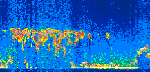 /calipso-imagery/data/BROWSE/production/V5-00/2009-12-26/2009-12-26_00-59-28_V5.00_3_thmb.png image missing
