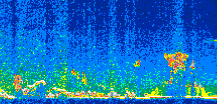 /calipso-imagery/data/BROWSE/production/V5-00/2009-12-26/2009-12-26_05-56-09_V5.00_2_thmb.png image missing