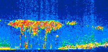 /calipso-imagery/data/BROWSE/production/V5-00/2009-12-26/2009-12-26_05-56-09_V5.00_3_thmb.png image missing
