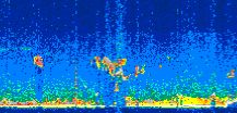 /calipso-imagery/data/BROWSE/production/V5-00/2009-12-26/2009-12-26_09-13-55_V5.00_3_thmb.png image missing