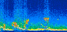 /calipso-imagery/data/BROWSE/production/V5-00/2009-12-26/2009-12-26_10-52-45_V5.00_2_thmb.png image missing