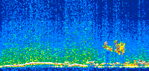 /calipso-imagery/data/BROWSE/production/V5-00/2009-12-26/2009-12-26_20-46-06_V5.00_2_thmb.png image missing