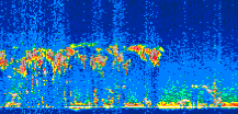 /calipso-imagery/data/BROWSE/production/V5-00/2010-01-01/2010-01-01_02-01-23_V5.00_3_thmb.png image missing