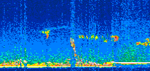 /calipso-imagery/data/BROWSE/production/V5-00/2010-01-01/2010-01-01_21-48-01_V5.00_3_thmb.png image missing