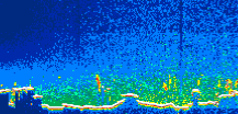 /calipso-imagery/data/BROWSE/production/V5-00/2010-01-06/2010-01-06_02-20-04_V5.00_1_thmb.png image missing