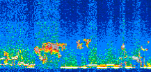 /calipso-imagery/data/BROWSE/production/V5-00/2010-01-06/2010-01-06_02-20-04_V5.00_2_thmb.png image missing
