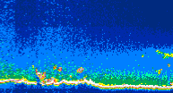 /calipso-imagery/data/BROWSE/production/V5-00/2010-01-06/2010-01-06_05-37-49_V5.00_4_thmb.png image missing