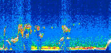 /calipso-imagery/data/BROWSE/production/V5-00/2010-01-06/2010-01-06_07-16-40_V5.00_3_thmb.png image missing