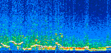/calipso-imagery/data/BROWSE/production/V5-00/2010-01-06/2010-01-06_13-52-16_V5.00_2_thmb.png image missing