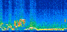 /calipso-imagery/data/BROWSE/production/V5-00/2010-01-06/2010-01-06_18-48-51_V5.00_2_thmb.png image missing