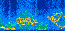 /calipso-imagery/data/BROWSE/production/V5-00/2010-01-07/2010-01-07_04-42-13_V5.00_2_thmb.png image missing