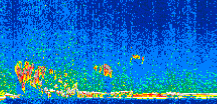 /calipso-imagery/data/BROWSE/production/V5-00/2010-01-07/2010-01-07_06-21-03_V5.00_2_thmb.png image missing