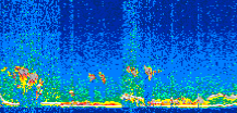 /calipso-imagery/data/BROWSE/production/V5-00/2010-01-07/2010-01-07_11-17-43_V5.00_2_thmb.png image missing
