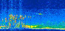 /calipso-imagery/data/BROWSE/production/V5-00/2010-01-07/2010-01-07_11-17-43_V5.00_3_thmb.png image missing