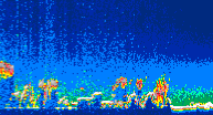/calipso-imagery/data/BROWSE/production/V5-00/2010-01-07/2010-01-07_16-14-24_V5.00_4_thmb.png image missing