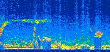 /calipso-imagery/data/BROWSE/production/V5-00/2010-01-07/2010-01-07_17-53-19_V5.00_3_thmb.png image missing