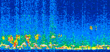 /calipso-imagery/data/BROWSE/production/V5-00/2010-01-07/2010-01-07_19-32-10_V5.00_2_thmb.png image missing