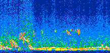 /calipso-imagery/data/BROWSE/production/V5-00/2010-01-08/2010-01-08_00-28-50_V5.00_2_thmb.png image missing