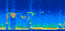 /calipso-imagery/data/BROWSE/production/V5-00/2010-01-08/2010-01-08_00-28-50_V5.00_3_thmb.png image missing