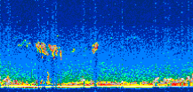 /calipso-imagery/data/BROWSE/production/V5-00/2010-01-08/2010-01-08_02-07-45_V5.00_3_thmb.png image missing
