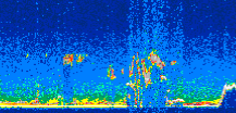 /calipso-imagery/data/BROWSE/production/V5-00/2010-01-08/2010-01-08_07-04-21_V5.00_3_thmb.png image missing